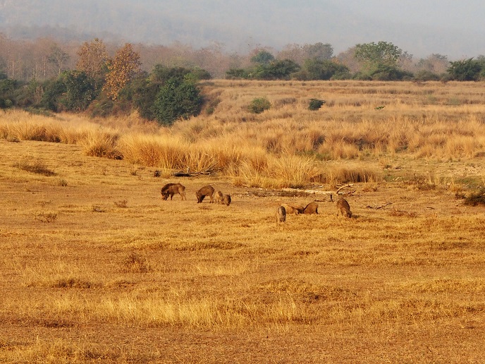 RESERVE PANNA 